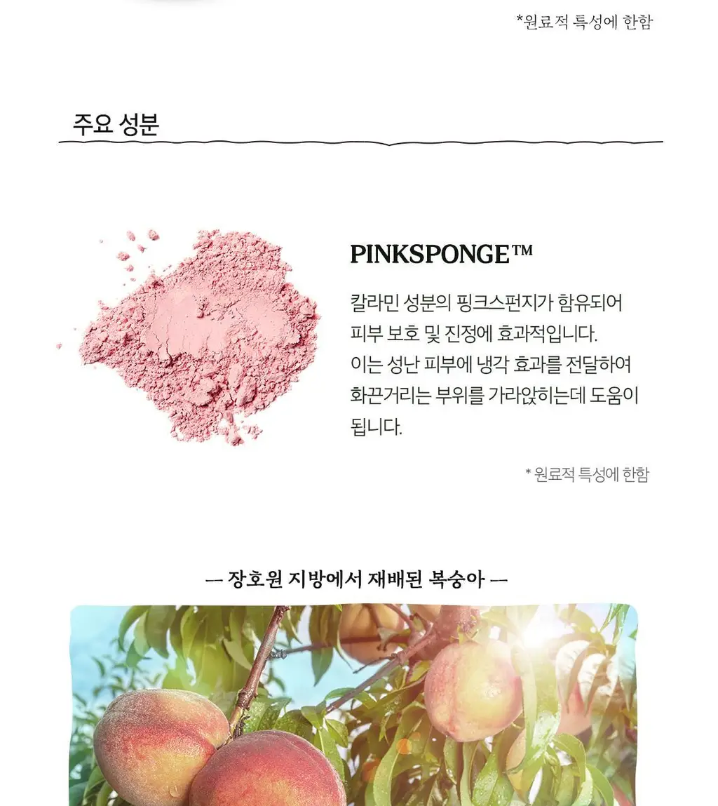[유분제거] 스킨푸드 피치뽀송 멀티 피니시 파우더 2종 (5g/15g) 상세페이지 10